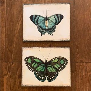 Creative Co-Op Butterfly Canvas Prints